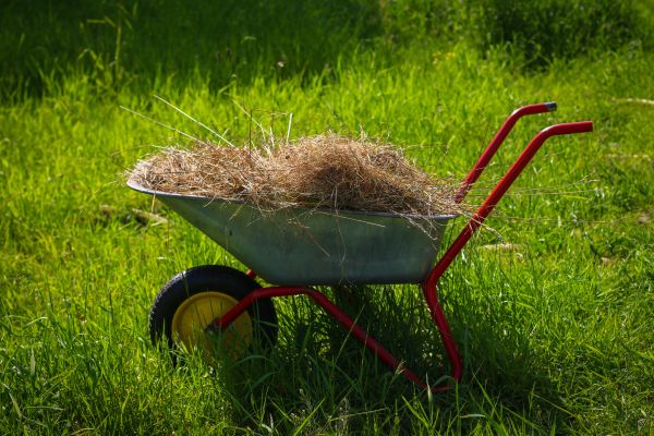 Garden Removal